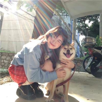 监狱犬计划
