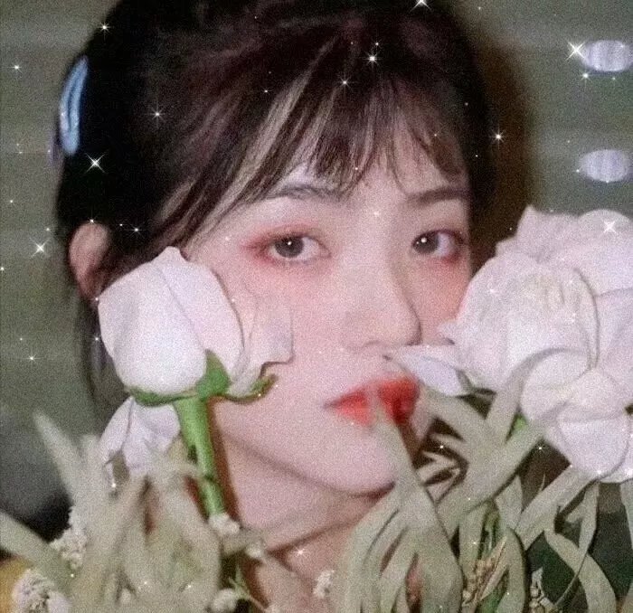 全员恶玉
